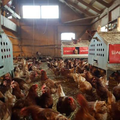 SIA Rītnieki - saimniecību bildes