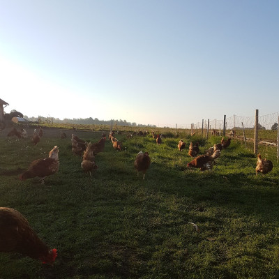 SIA Rītnieki - saimniecību bildes