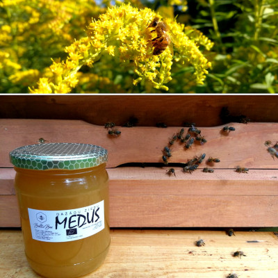 Sabiedrība ar ierobežotu atbildību Baltic Bee - saimniecību bildes