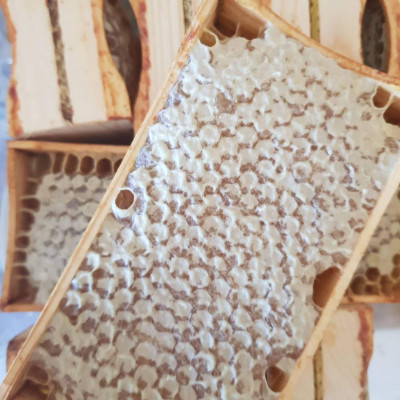 Sabiedrība ar ierobežotu atbildību Baltic Bee - saimniecību bildes