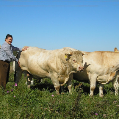 Skrundas pagasta zemnieku saimniecība VALTI - saimniecību bildes