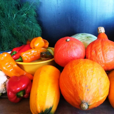 Ritma Kregere - saimniecību bildes