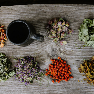 Zaubes pagasta zemnieku saimniecība OZOLIŅI - saimniecību bildes
