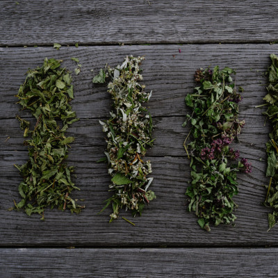 Zaubes pagasta zemnieku saimniecība OZOLIŅI - saimniecību bildes