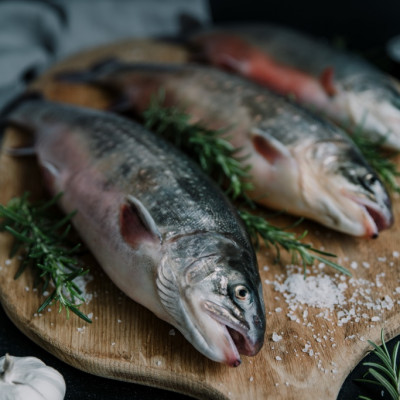 SIA BLUE CIRCLE - saimniecību bildes