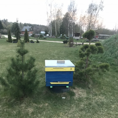 Sabiedrība ar ierobežotu atbildību Humax - saimniecību bildes