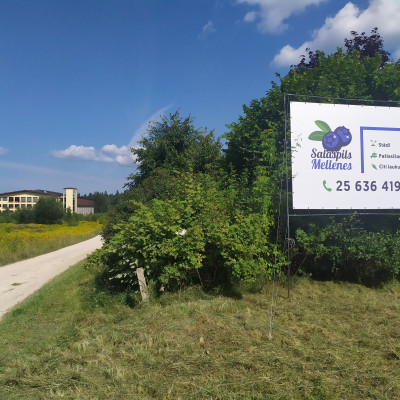 Sabiedrība ar ierobežotu atbildību Salaspils mellenes - saimniecību bildes