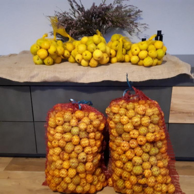 ZS Rāpšas - saimniecību bildes